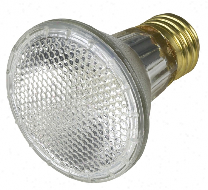 50 Watt Par20 Flood Light Bulb (90010)