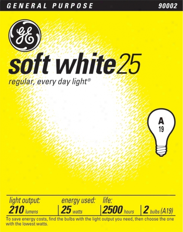 Ge 25 Watt 2-pack Soft White Loose Bulbs (90002)