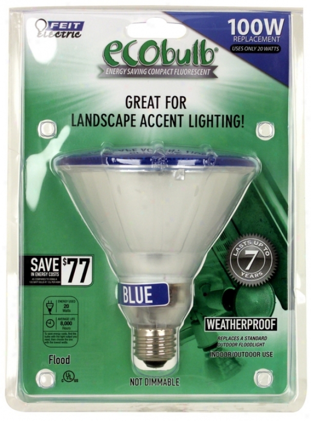 Par38 23 Watt Blue Outdoor Flood Cfl Light Bulb (33426)