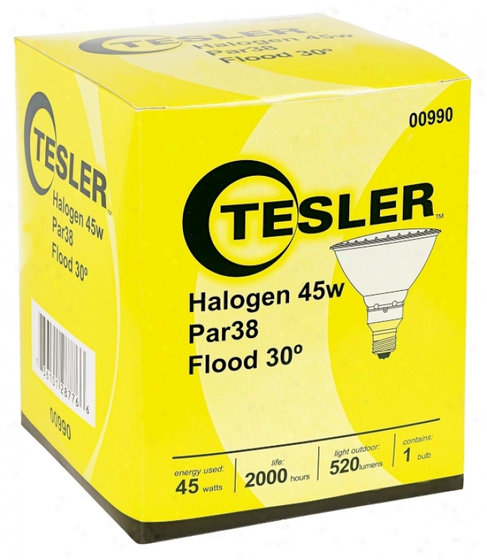 Tesler Par38 Halogen 45 Watt Flood Light Bulb (00990)