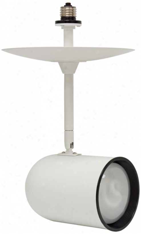 White R30 Bulb Reecssed Light Extender (r0882)
