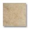 Alfagres Pompei 12 X 12 Shell Tile & Stone