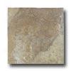 American Florim Truvian Stone 18 X 18 Clay Tile & Stone