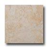 American Florim Tundra 12 X 12 Winter Tile & Stone