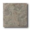 American Olean Earthscapes 12 X 12 Rin Forest Tile & Stone