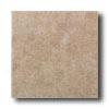 American Olean Swndy Ridge 12 X 12 Sand Tile & Stone