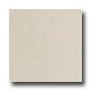American Olean St Germain 12 X 24 Creme Tile & Stome