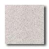 American Olran Terra Granite 12 X 12 Speckled Linen Tile & Stone