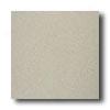 American Olean Terra Paver Polished 12 X 12 Naturale Tile & Stone