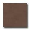Amtico Standard Stained Concrete 12 X 12 Stained Concrete Chocolate Vinyl Flooring
