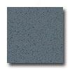 Armstrong Excelon Stonetex Premium Blue Neat  Vinyl Flooring