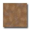 Armstrong Olmo 18 X 18 Terracotta Cool021818 Tile & Stone