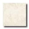 Armstrong Perla Marble 13 X 13 Perla Marble Tile & Stone