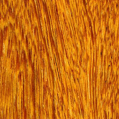 Cikel Brasjlia Solids 3 1/4 Inch Ironwood Natural Hardwood Flooring