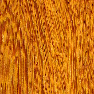 Cikel Leblon Engineered 5 Inch Ironwood Affectionate Hardwood Flooring