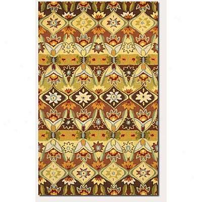 Couristan Appluque 8 X 11 Summer Day Area Rugs