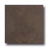 Crossville Buenos Aires Mood 12 X 24 Unpolished Recoleat Tile & Stone