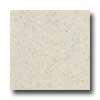 Daltile Granati Unpolished 12 X 12 Bianco Imperiale Tile & Stone