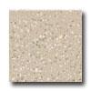Daltile Keystones Unglazed Inlaid 2 X 2 Urban Putty Speckle Tile & Face with ~