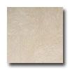 Daltile Marble Honed 12 X 12 Cafe Creme Marfil Select Tile & Stone