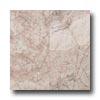 Daltile Marble Polished 12 X 12 Cherry Blossom Tile & Stone