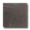 Dsltile Slate Collectipn - Domestic 12 X 12 Variegated Purple Tile & Stone