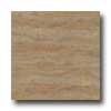 Earth Werks Wrwick Plank Aw627 Vinyl Flooring
