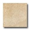 Ergon Tile Green Tech 12 X 24 Rectified Sand Tile & Stone