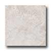 Florida Tile Caldera 10 X 13 Grey Happy Tile & Stone