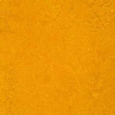 Forbo G3 Marmoleum Real 1/10 Golden Sunset Vinyl Flooring
