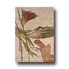 Hellenic Rug Imports, Inc. Essential Nature 6 X 8 Natura Superficial contents Rugs