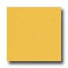 Interceramic Colours 8 X 8 Yellow Mango Tile & Stone