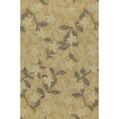 Kaleen Hpme & Porch 6 Round Star Fish Natural Area Rugs
