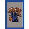 Milliken University Of Kentucky 4 X 5 University Kentucky Area Rugs