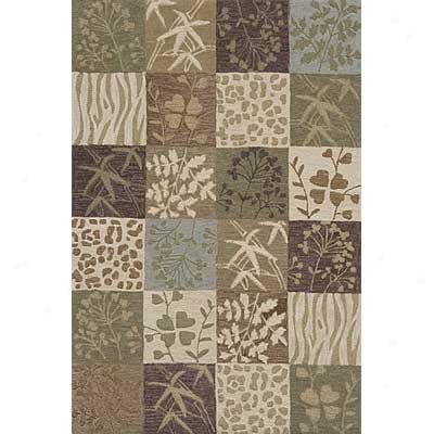 Momeni, Inc. Transitions 4 X 6 Transitionns Assorted Area Rugs
