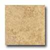 Portobello Indian Slate 18 X 18 Camel Tile & Stone