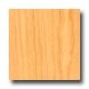 Stepco Royal Plank Sycamore Viinyl Flooring