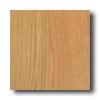 Sunfloor Elite Collection 2-strip Red Oak Natural Hardwood Flooring