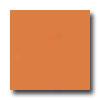 United States Ceramic Tile Color Collection 6 X 6 Bright Glaze Tangerine Tile & Sttone