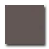 United States Ceramic Tile Color Collection 6 X 6 Bright Glazing Cocoa Tile & Stone