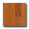 Zickgraf The Franklin Collection Semig-loss 3 1/4 Oak Butterscotch Hardwood Flooring