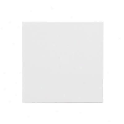 Adex Usa Coordinating Floor 13 X 13 White Tile & Stone