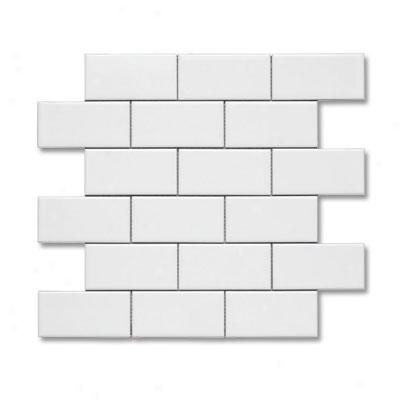 Adex Usa Neri 2 X 4 Mosaic Flat White Tile & Stone