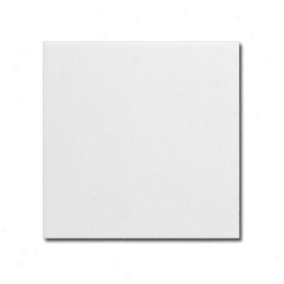 Adex Usa Neri 4 X 4 White Tile & Stone