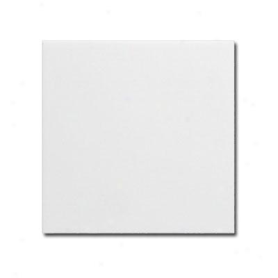 Adex Usa Neri 6 X 6 White Tile & Stone
