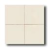 American Olean Cache 6 X 6 Gloss Biscuit Tile & Stone