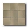 American Olean Quarry Tile Abrasive 4 X 8 Gray Flash Tile & Stone