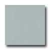 Amtico Pure Plain 12 X 12 Genuine Plain Smoke Vinyl Flooring