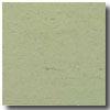 Armstrong Colorette Light Green Vinyl Flooring