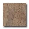 Armstrong Earthcuts 18 X 18 Roma Stone Noce Vinyl Flooring